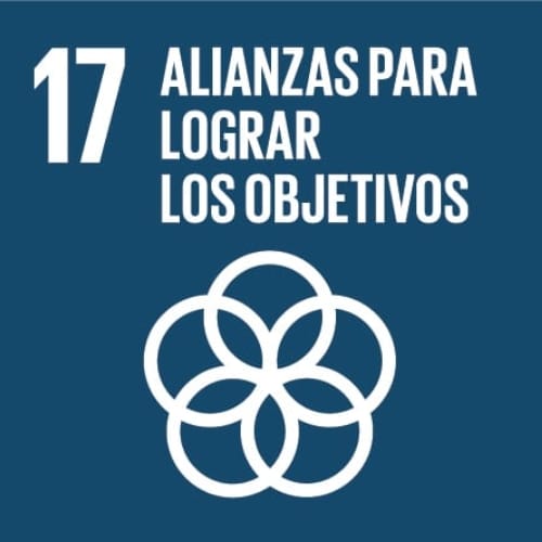 Alianzas para lograr los objetivos